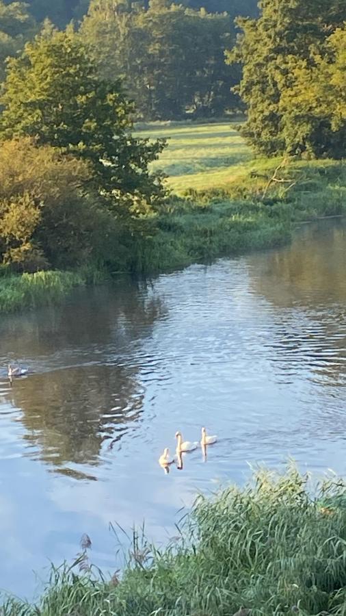 Idyllische Ferienwohnungen In Mossendorf Blick Zur Naab Burglengenfeld Buitenkant foto